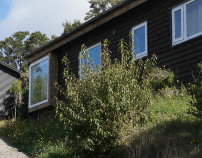 Cabaña maiten de llicaldad